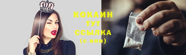 стаф Балахна
