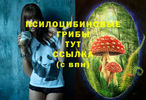 стаф Балахна